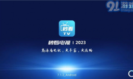 91电视新版直播,全新体验，畅享视听盛宴